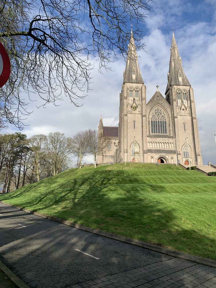 Tree surveys in Armagh