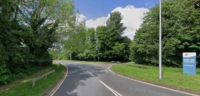 Tree surveys in Craigavon